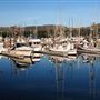 Bodega Bay