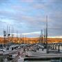 Bodega Bay