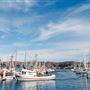 Bodega Bay