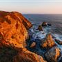 Bodega Head / Dunes (Sonoma Coast State Beach)