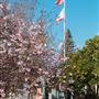 Cloverdale