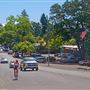 Forestville