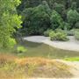Forestville