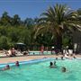 Glen Ellen