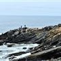 Gualala Point Regional Park