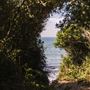 Guerneville