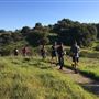 Healdsburg