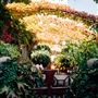 Healdsburg