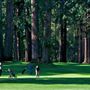 Northwood Golf Club