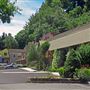 Occidental