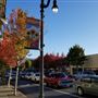 Petaluma