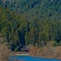 Russian River