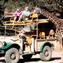 Safari West