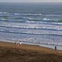 Salmon Creek Beach (Sonoma Coast State Park)