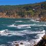 Salt Point State Park (SP)