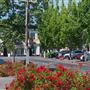 Sebastopol