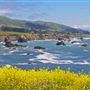 Sonoma Coast State Park (SP)
