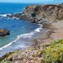 Sonoma Coast State Park (SP)