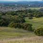 Taylor Mountain Regional Park