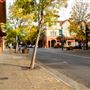Windsor
