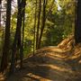 Castle Crags State Park (SP)