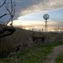 Chino Hills State Park (SP)