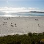 Carmel-By-The-Sea