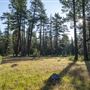 Ward Creek Park Property