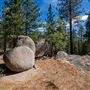 Washoe Meadows State Park (SP)