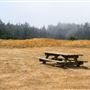 Tolowa Dunes State Park (SP)