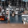Noyo Harbor District