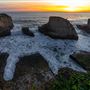 Coast Dairies State Beaches (Bonny Doon State Beach, Shark Fin State Beach, Laguna State Beach & Panther)