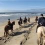 Moss Landing