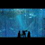 Monterey Bay Aquarium