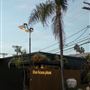 The Haus Plant