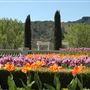 Ferrari Carano Vineyards and Winery