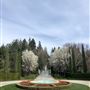 Ferrari Carano Vineyards and Winery