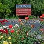 Cline Cellars