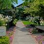 Dry Creek Vineyard