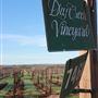 Dry Creek Vineyard