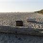 Sunset State Beach (SB)