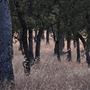 40.4486657, -122.0552620