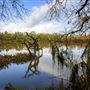 Delta Meadows Park Property