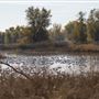 Gray Lodge Wildlife Area - California Department of Fish & Wildlife (CDFW)