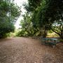 Aliso and Wood Canyons Wilderness Park