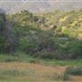 Wildwood Canyon Park Property
