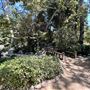 Storrier Stearns Japanese Garden