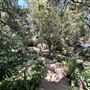 Storrier Stearns Japanese Garden