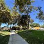 Anderson Park - City of Carson