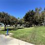 Anderson Park - City of Carson